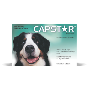 Capstar For Dogs Large 11.1-57kg 6 tablets