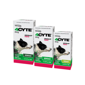 4CYTE Epiitalis Forte Gel Dog