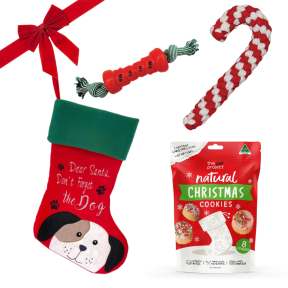 Christmas Dog Medium Bundle