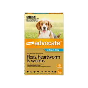 Advocate Dog Medium 4-10kg Aqua