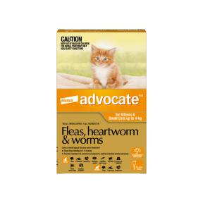 Advocate Kitten & Cat Small Up To 4kg Orange