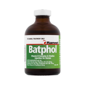 Batpol vitamin b complex and choline for horses 50ml