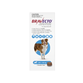 Bravecto Chewables Dog Large 44 - 88lbs Blue Updated