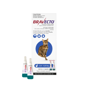 Bravecto Spot On Cat Medium 6.2 - 13.8lbs Blue 2 Pack Update