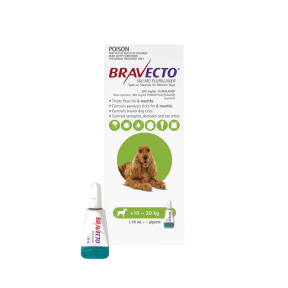 Bravecto Spot On Dog Medium 22-44lbs Green 1 Pack