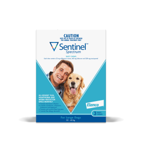 Sentinel Spectrum Dog Large 44.1 - 88lbs Blue