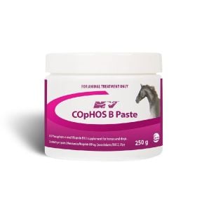 Cophos B Paste 250ml