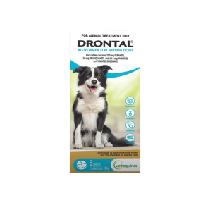 Drontal Allwormer Dog Medium 22lbs Tablets