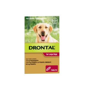 Drontal Allwormer Dog Large 77lbs 1 Tablet