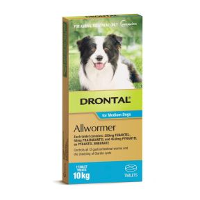 Drontal Allwormer Dog Medium 22lbs 1 Tablet