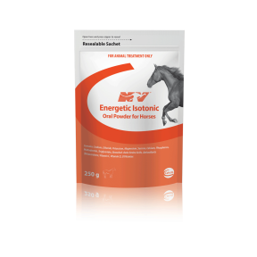 ENERGETIC 250GM ISOTONIC