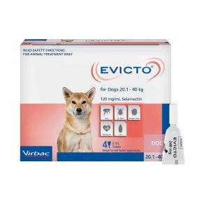 Evicto Dog Large 44.2 - 88.2lbs Pink 4 Pack