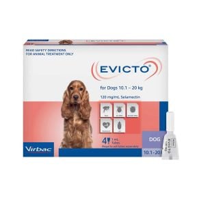 Evicto Dog Medium 10-20kg Purple 4 Pack