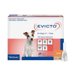 Evicto Dog Small 11 - 22.04lbs Orange 4 Pack