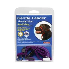 Gentle Leader Head Collar Purple