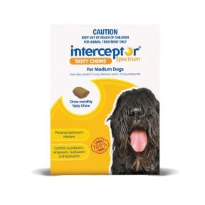 Interceptor Spectrum Dog Medium 11-22kg Yellow