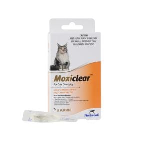 Moxiclear For Cats More Than 4kg Orange