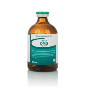 Ceva DMG Injection 100mL