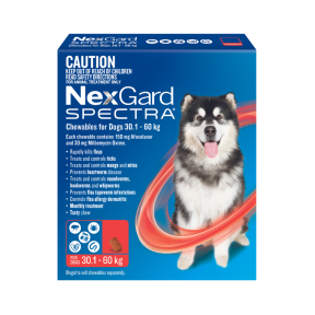 NexGard Spectra Dog Extra Large 30.1-60kg Red Front