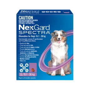 NexGard Spectra Dog Large 15.1-30kg Purple New