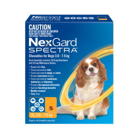 NexGard Spectra Dog Small 3.6-7.5kg Yellow Front