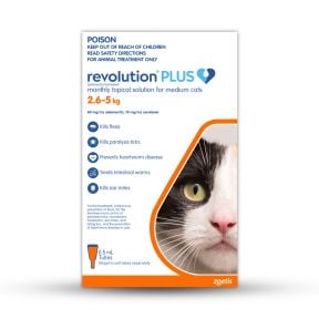 Revolution Plus for Medium Cats 5.6-11 lbs (Orange)