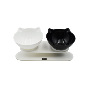 Zeez Double Elevated Tilted Cat Bowl 2 X 250ml