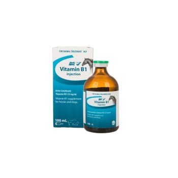 buy bpc 157 online peptides bpc-157 for sale Buy BPC 157 (Pentadecapeptide (PL 14736))