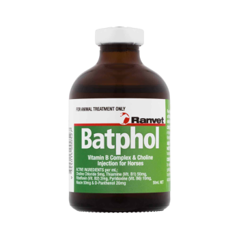 b12 injection for horses Richtafort Phosphorous + B12 Injection 100mL main image 1