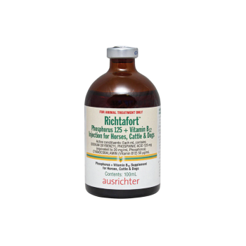b12 horse injection Vitamin B12 Injection main image 1