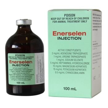 how long does your arm hurt after a b12 injection Injections in arm
