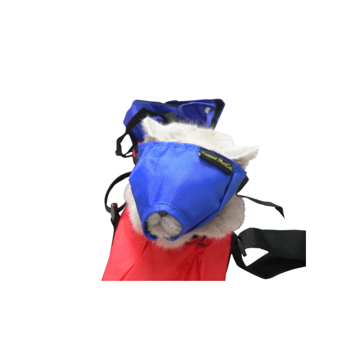 Beste muilkorf voor honden | Top 5 van 2026