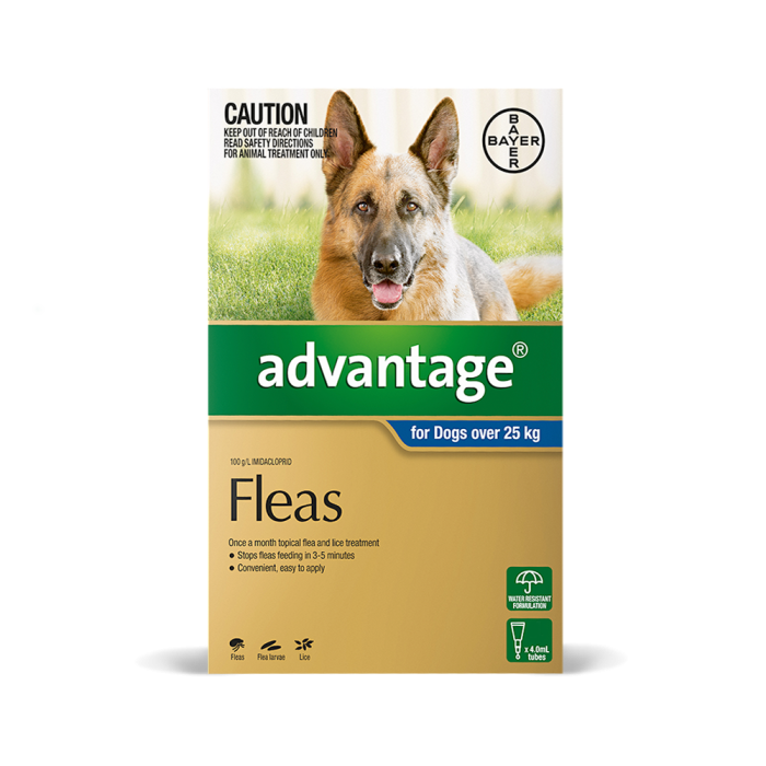Cheap advantage flea treatment 2025