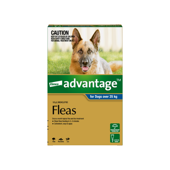 Advantage for dogs over 55 lbs online