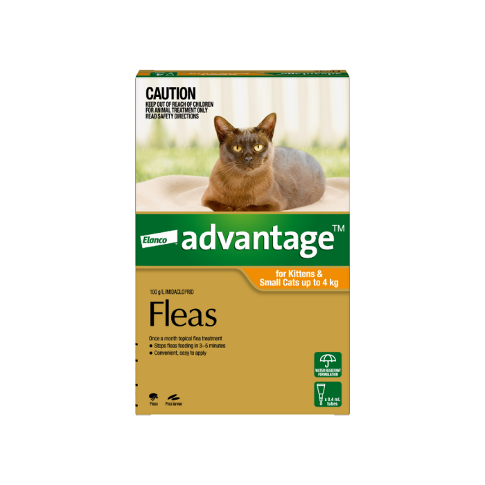 Small cat flea treatment shop