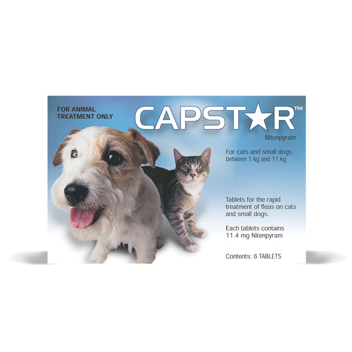 Capstar chewy top