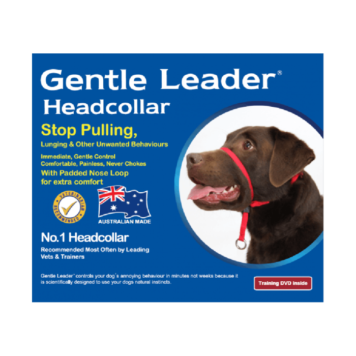 Padded gentle leader shop