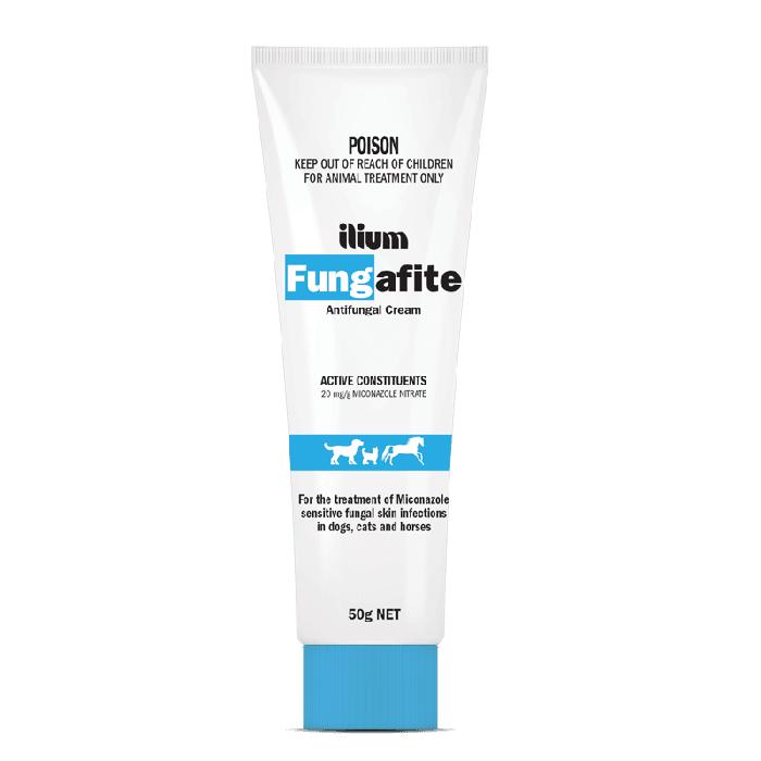 Topical antifungal for cats top