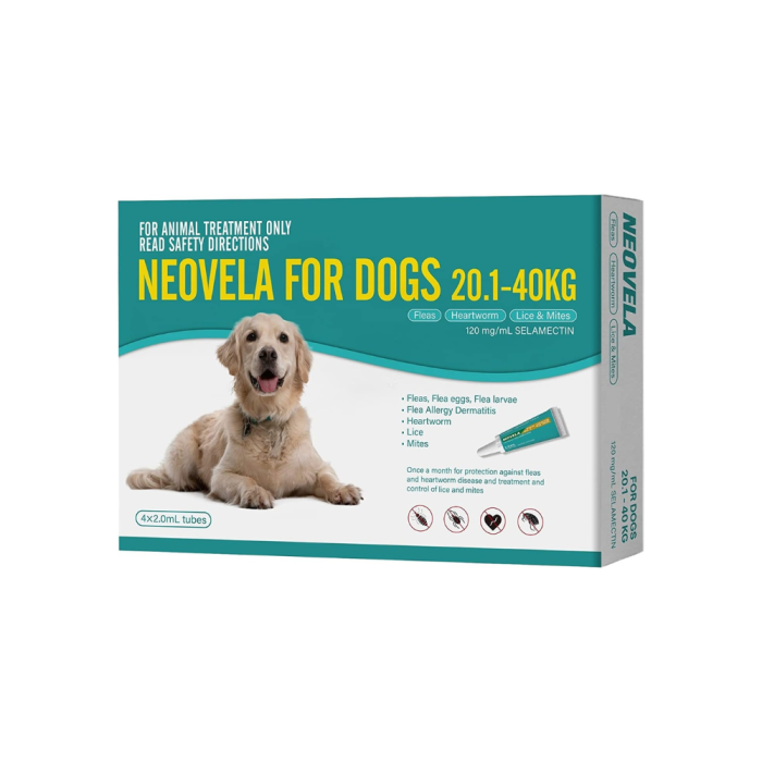 Neovela Dog Extra Large Teal VetShopmax