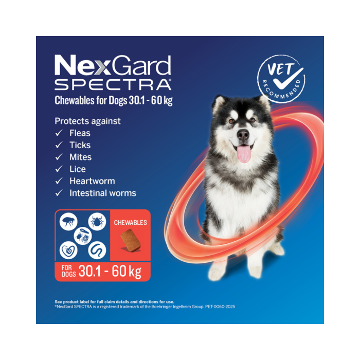 NexGard Spectra for XL Dogs 66.2-132.2lbs No Rx Required