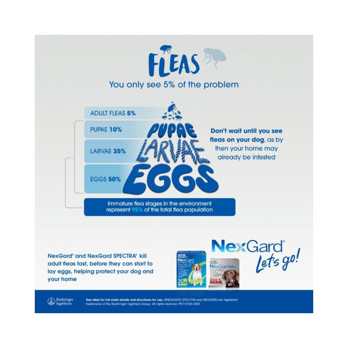 NexGard Chewables Dog Large Red VetShopmax