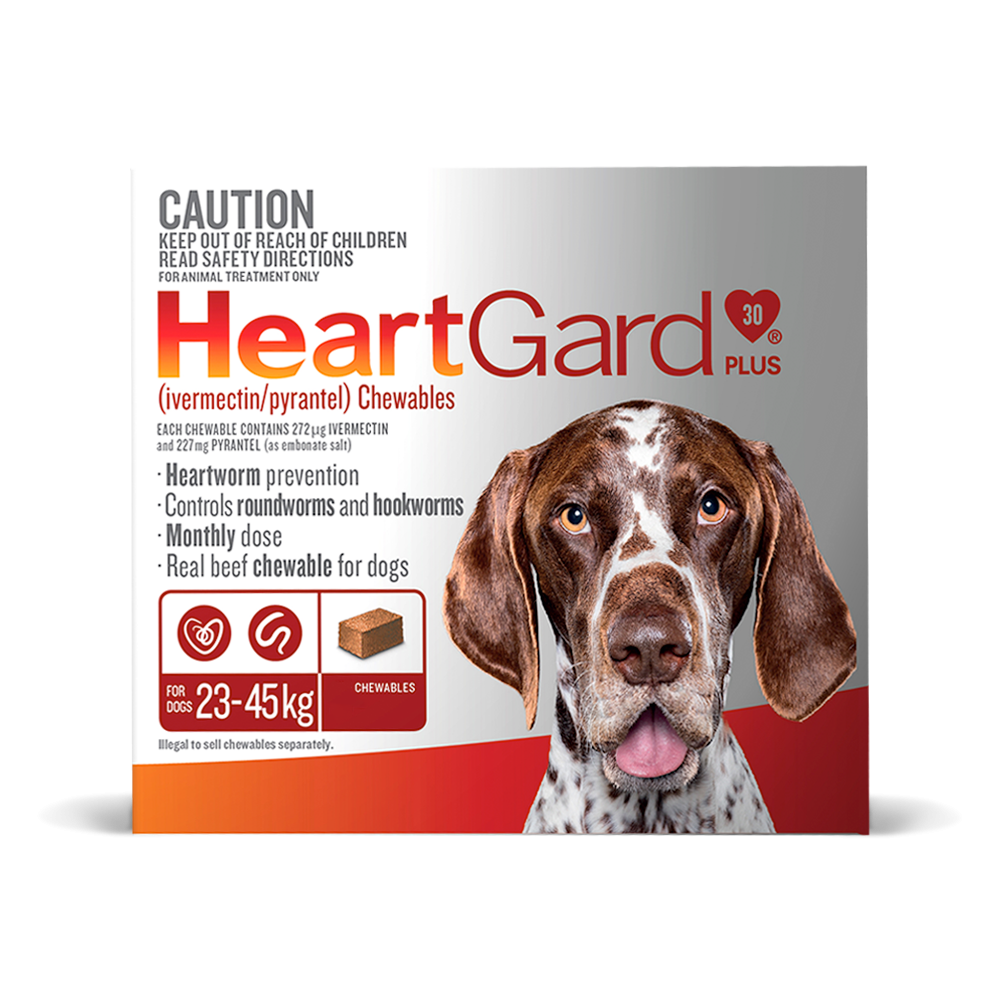 HeartGard Plus Large Dogs 51 100lbs Chews VetShopMax