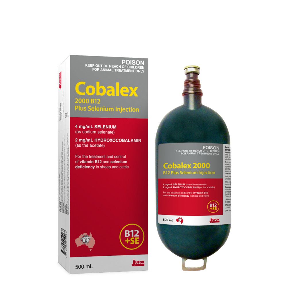dog b12 injection side effects Jurox Cobalex 2000 B12 Plus Selenium Injection