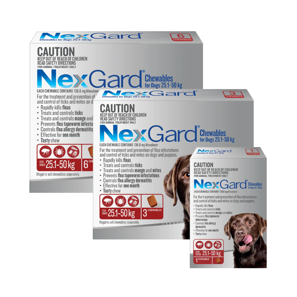 Order nexgard chewables shop