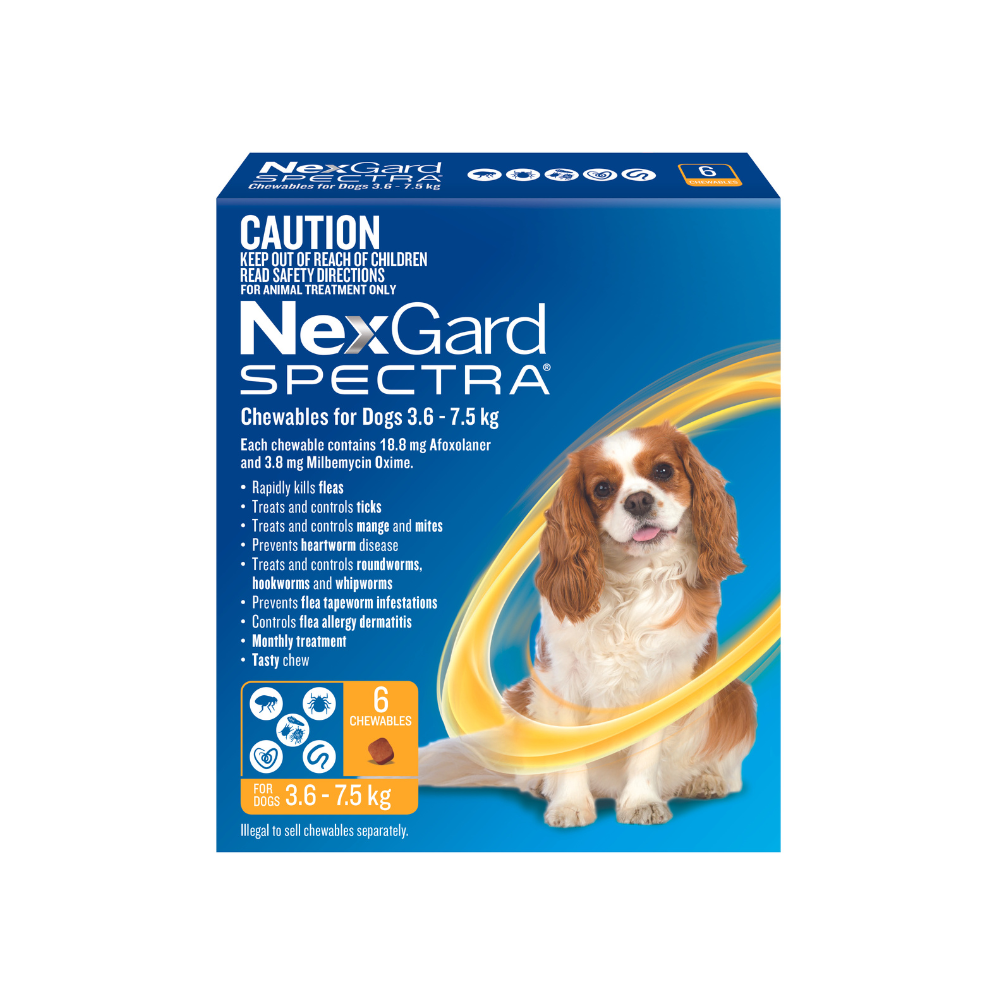 Nexgard for dog sales
