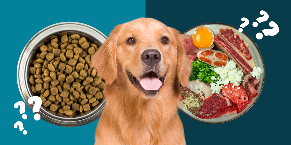 Ultimate Guide to Canine Nutrition
