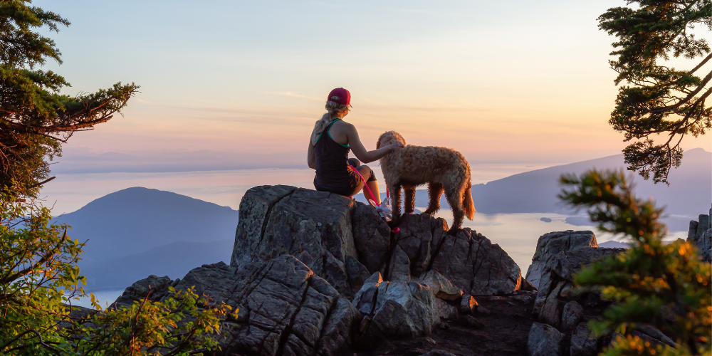 Trail Tails: Top Tips For Taking Your Dog On a Hike