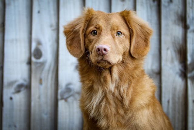 5 Grooming Mistakes You're Probably Making 