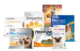 Shop Flea & Tick Products