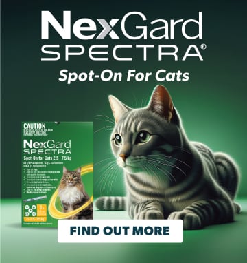 NexGard Spectra For Cats
